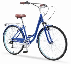 Body Ease  Consistent Bicycle