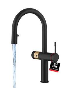 Kitchen Faucet with Pull Down Sprayer, Commercial Style 2-in-1 High Pressure Filter Faucet for Drinking Water & Filtration System