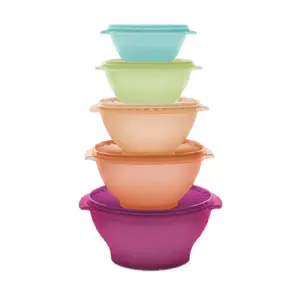 Tupperware  Colorful servalier Bowl Set 5pc
