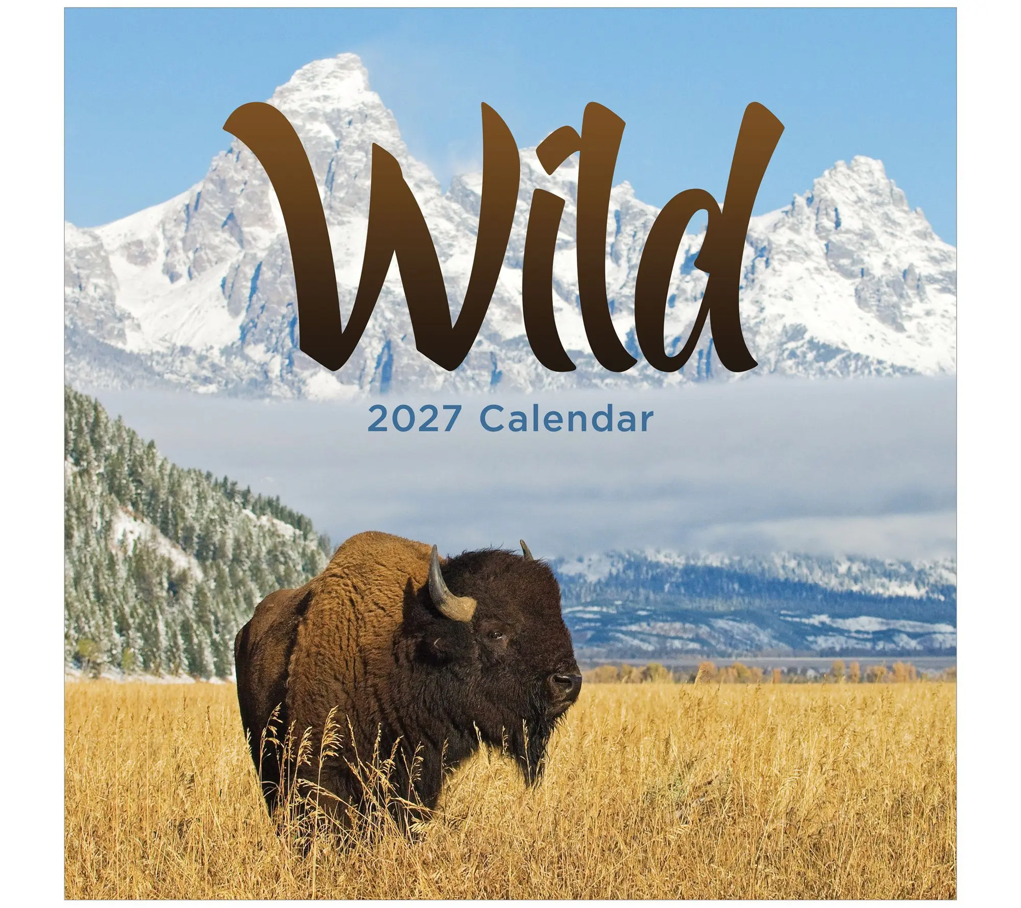 TF Publishing 2027 Wild Wall Calendar
