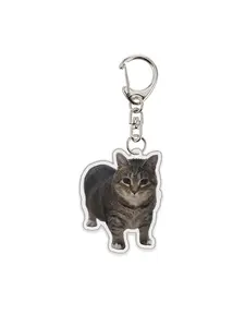 Funny Cat Series Keychain, Student Gift Bag Lanyard, Men's and Women's Bag Pendant, Cute Things, Cheap Gift for Best Friends, Cute Charms Keychain