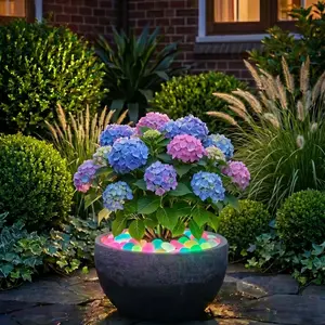 33pcs Large Dreamy Glowing River Stones Set, Decorative Stones, Ideal for Garden Paths, Aquarium, Potted Plant Decor, Perfect for Home and Outdoor Use
