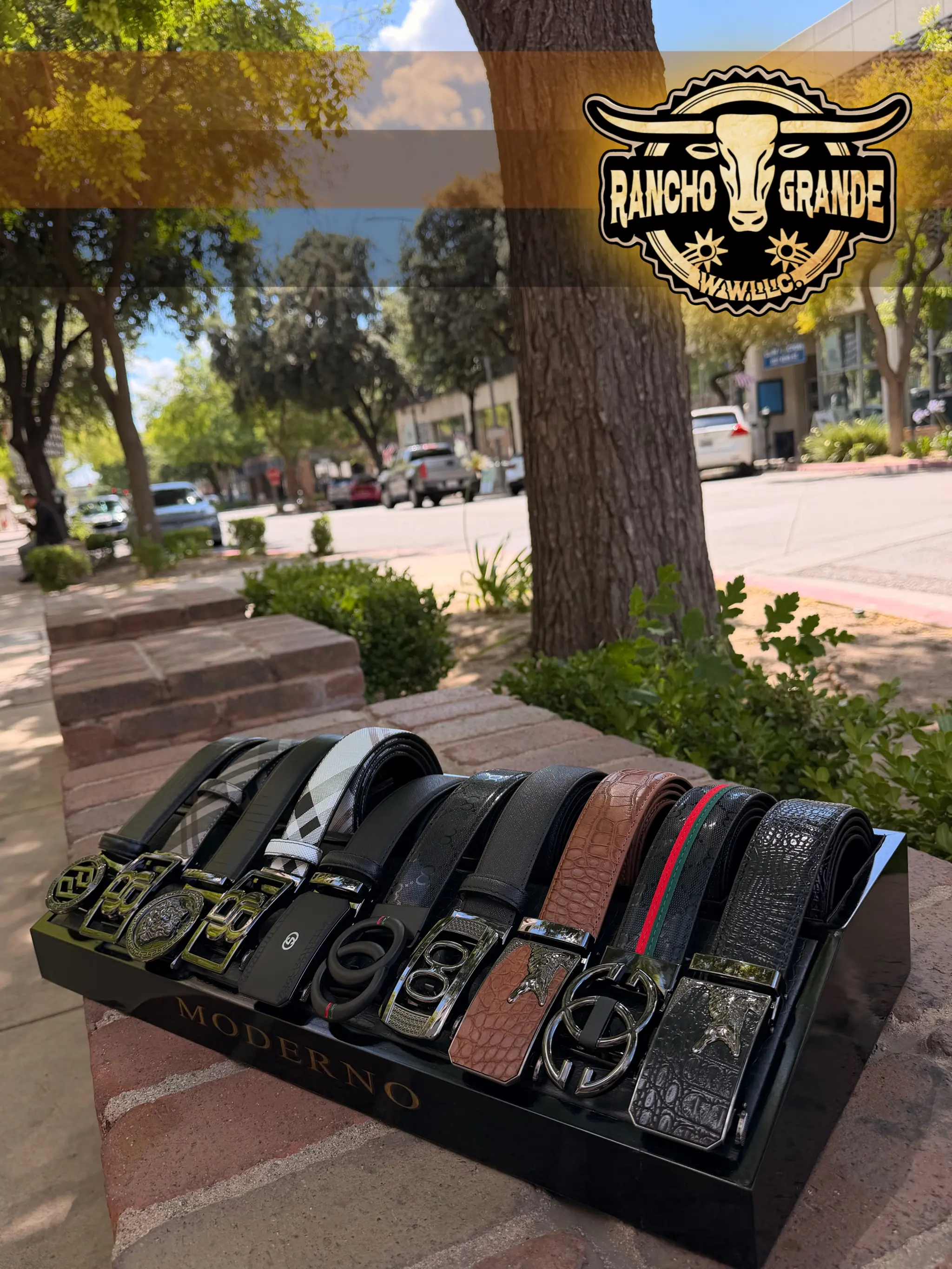 Cinto Moderno para Hombre / Mens Ratchet Belt