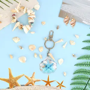 A set of 150 Sea Shells - Mixed Ocean Beach Spiral Seashells for Fish Tank and Vase Filler, Beach Theme Party, Wedding Decor - DIY Craft Supplies - Home Improvement.