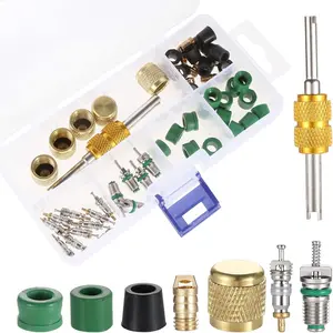 56PCS Air Conditioning Valve Core Kit Including R134a, R22, R410 Valve Core, Hose Gaskets, Valve, Brass Nut, Valve Core Remover Installer For Most Cars