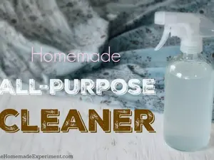 SIMPLY SPOTLESS All Purpose Cleaner (Morning Burst Scent)