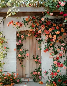 200pcs mixed climbing rose seeds, suitable for outdoor planting as decorative climbing flowers. Rose shrubs and vines crawl and sprout for a long time