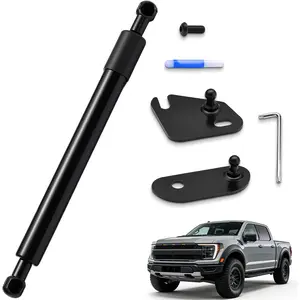 Truck Tailgate Assist Struts Kit, Pickup Tail Gate Shock Damper Accessories for 2015-2025 Ford F150 XL/XLT/Lariat/King Ranch (Not Fit Pro Access Tailgates)