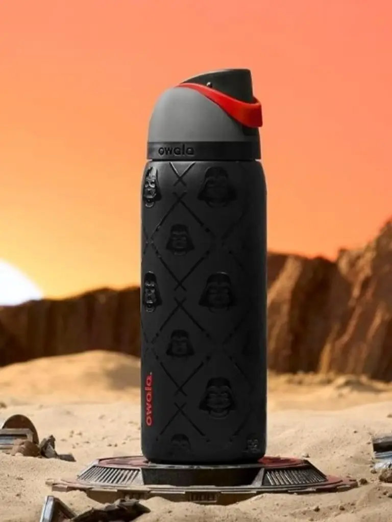 Owala FreeSip Insulated Stainless Steel Water Bottle with Straw for HER gift for mom