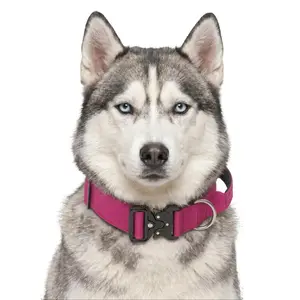 Pink Forest Green Blue Heavy Duty Polyester Dog Collar with Metal Buckle, Durable Padded Training Collar for Husky Medium Large Dogs,