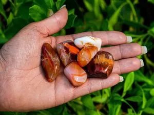 1 lb Carnelian Tumbled Stones Wholesale, Carnelian Tumbled Bulk, Crystal Healing Stones, Tumbled Rocks Crystal Home Decor, Spiritual Decor