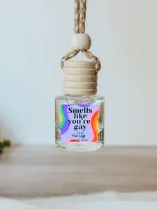 Smells Like You’re Gay scented car freshener- Car air diffuser- Long lasting fragrance for car