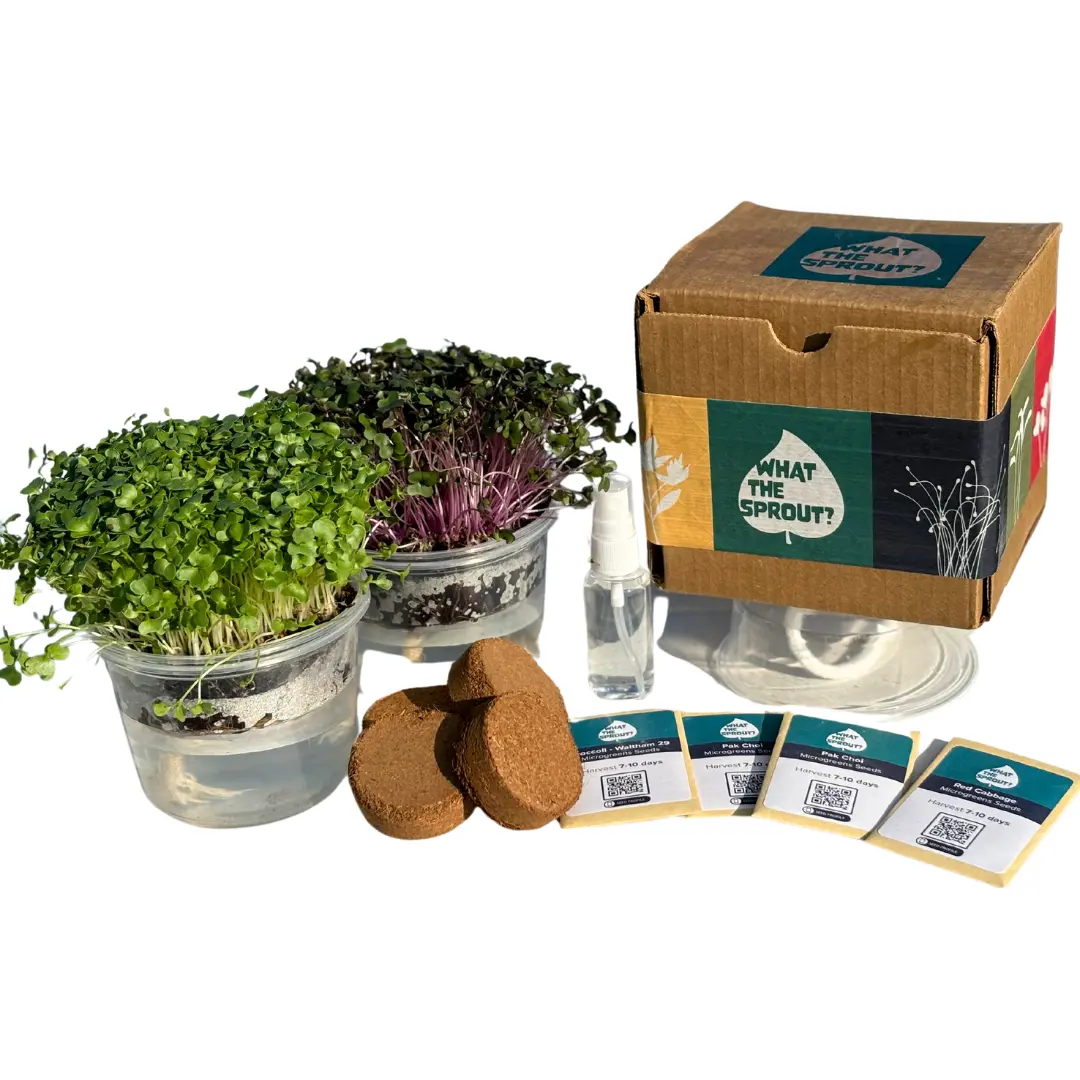 Microgreen Grow Kit – Self-Watering System