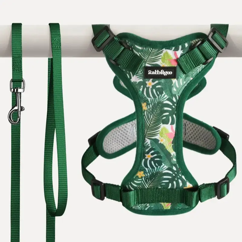 Rabbitgoo Kaleido Adjustable cat harness and leash set
