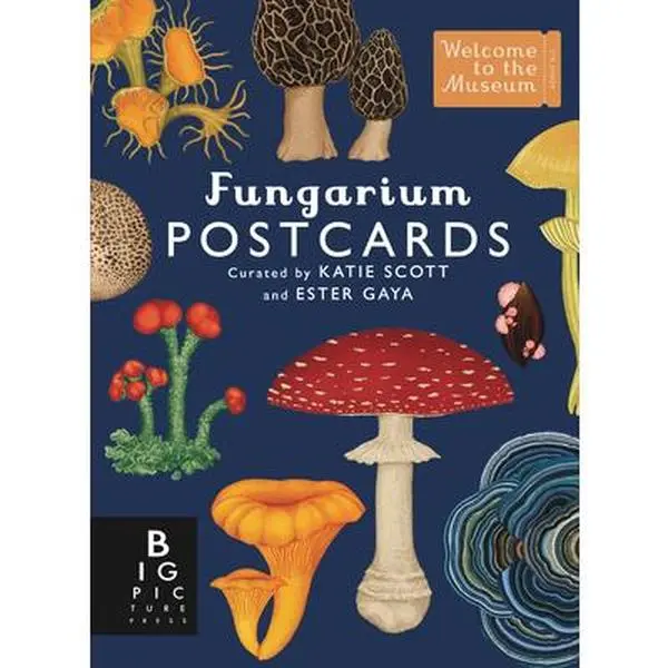 Fungarium Postcard Box Set - Ester Gaya, 50 Stylish English Beautiful Postcard Set for Friends, 6.8" h x 5" l x 1.3" w, Cards