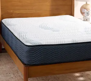 Northern Nights 11' Graphice Lumbar Zone Hybrid Mattress Full