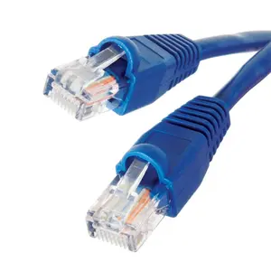 212 MAIN 50 ft. Blue Ethernet LAN Network Cable, Compatible with Ethernet Port (Tools & Hardware)