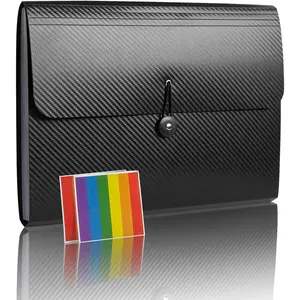 Expanding File Folder with 13 Pockets - Accordion Filing Folder for Documents - Aesthetic Black Paper Organizer for Work, School, Home, Office