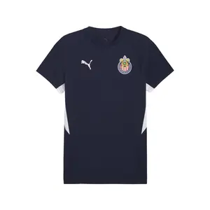 PUMA Mens Chivas Evostripe Crew Neck Short Sleeve Casual Tops Casual - Blue
