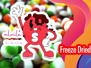 Skippy Freezed Dried Rainbow Candy - Unique Skippy & Dried Rainbow Flavor Frozen Candy for Snacking 4oz