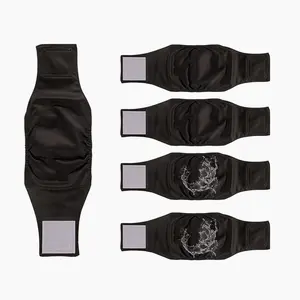 Reusable Pet Diaper, 5 Counts/set Washable Pet Diaper, Waterproof Pet Diaper, Pet Supplies for Dogs Reusable Pet Diaper, 5 Counts/set Washable Pet Diaper, Waterproof Pet Diaper, Pet Supplies for Dogs