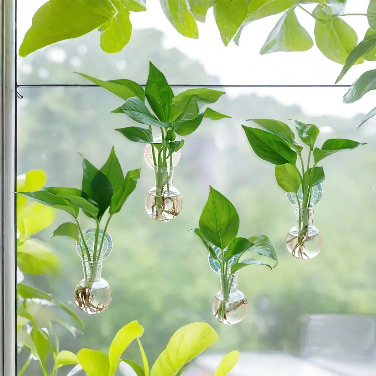 4-Piece Hook-Mounted Wall Hanging Plant Propagation Stations - 4 Plastic Bulb Vases, 2.56" Width Transparent Terrarium Vases, No-Nail Easy-Install Suction Cup Window Mount Home Organizer Hooks, Ideal Best Gift for Mother's Day-Teacher’s Day Home Decor, Na