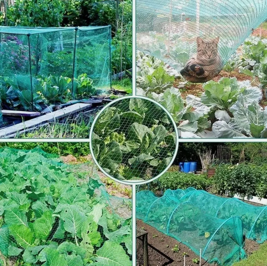 Large Size Breathable Anti-Bird Mesh Netting (33ft×16ft), Outdoor Crop Shield for Garden Use, Home Supplies Plant Protection Cover to Keep Birds Away from Fruit Gardens & Farm Crops