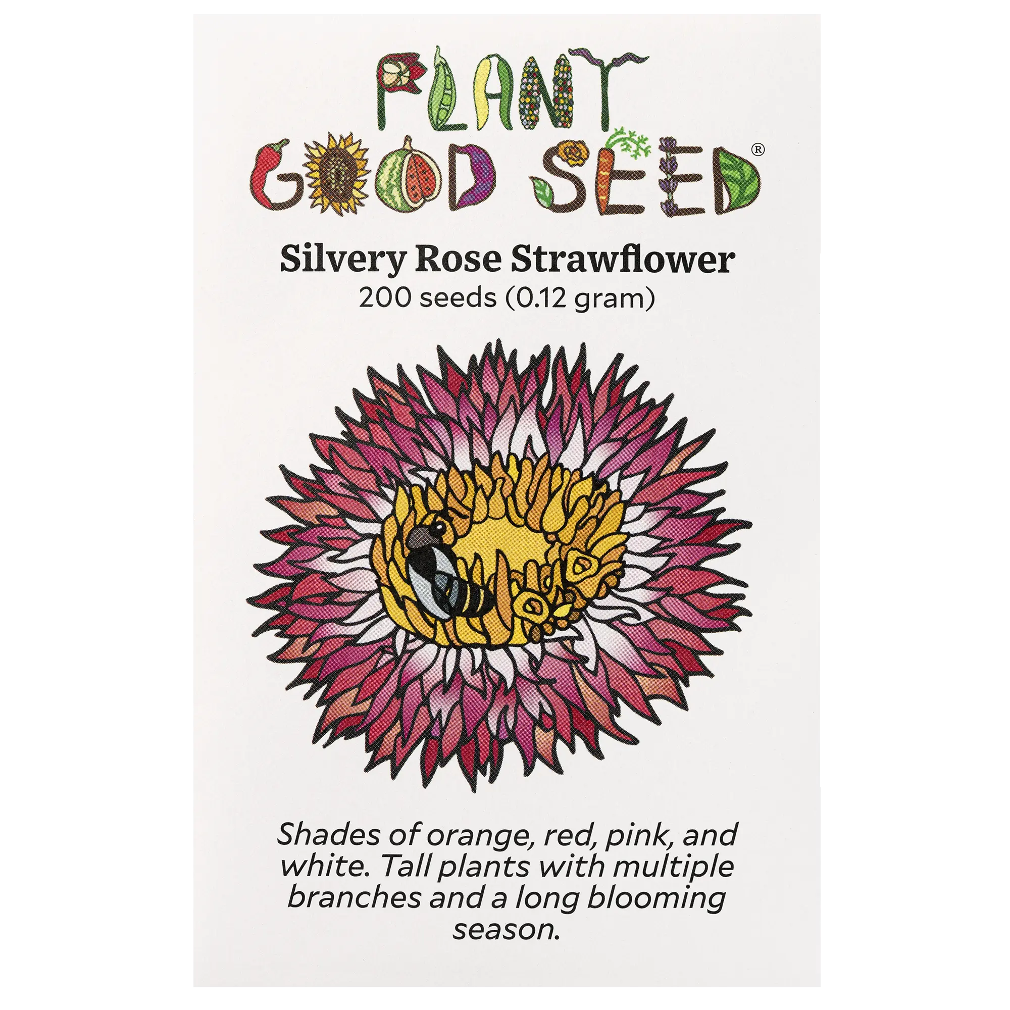 Silvery Rose Strawflower Seeds for Planting: Blush Rose Colored Double Flowers Easy to Grow Summer Flower Bee Friendly 200 Seed Packet