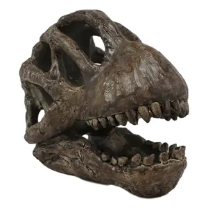 Faux Taxidermy Replica Brachiosaurus Dinosaur Head Fossil Small Skull Figurine