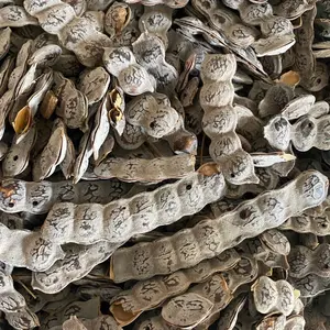 Nep- Nep / Acacia Aroma