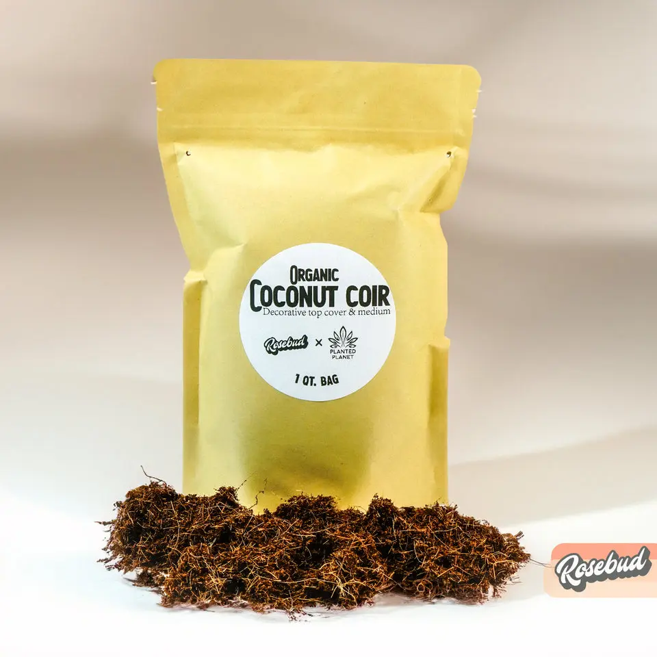 Organic Coconut Coir - Decorative Plant Topper - Growing Medium - Plant Based