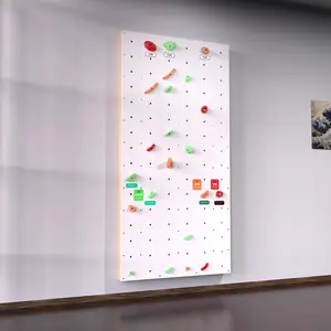 Home Climbing Wall Starter Kit - Made in the USA - 3 Bouldering Routes - 24 holds, hardware & wall instructions