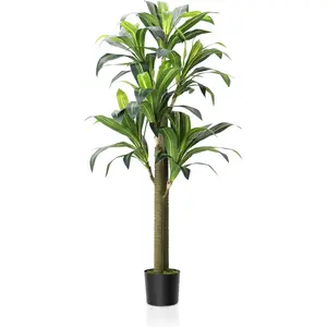 Gaomon 5.4ft Tall Artificial Dracaena Marginata Tree - Faux Evergreen Potted Plant with Silk Leaves, Glossy Foliage, Realistic Design for Indoor Home Office Decor, Decorative Gift Accessory