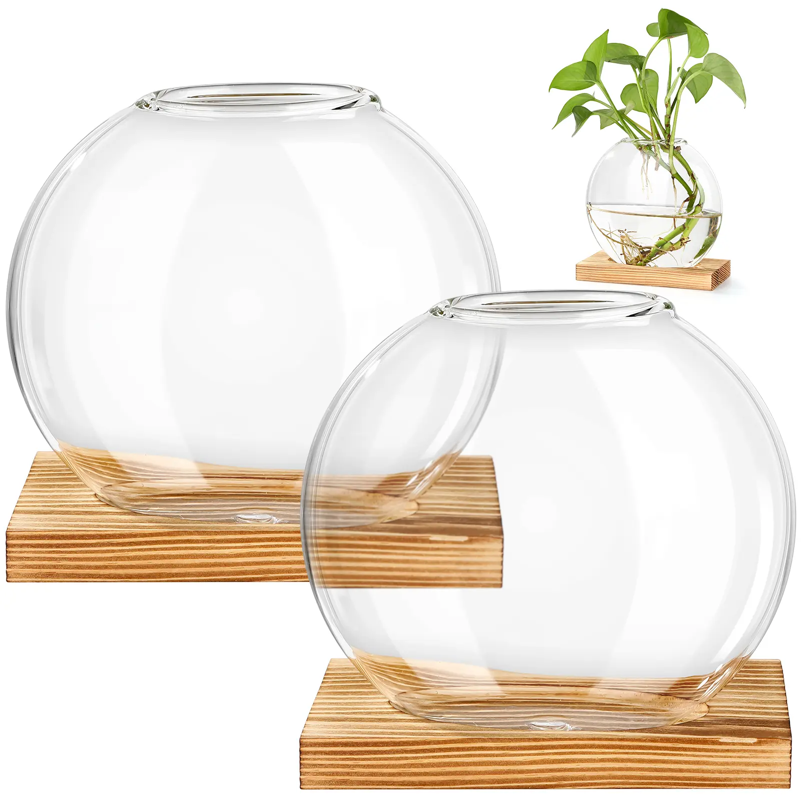 2-Piece Clear Glass Plant Terrarium with Wooden Base, Desktop Hydroponic Propagation Station Vase, Tabletop Planter for Indoor Live Plants and Pothos, Modern Home Office Transparent Decor Display, Elegant Flower Container for Living Room Decor