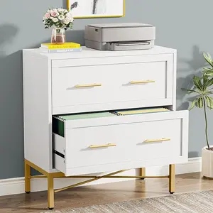 Tribesigns Contemporary 2-Drawer Wood File Cabinet Large Storage Office Cabinet for Home Office Studio