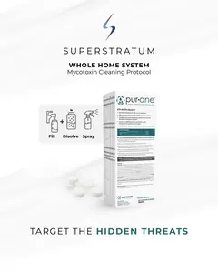 PurOne Multipurpose Cleaning & Disinfection Tablets (2PK)