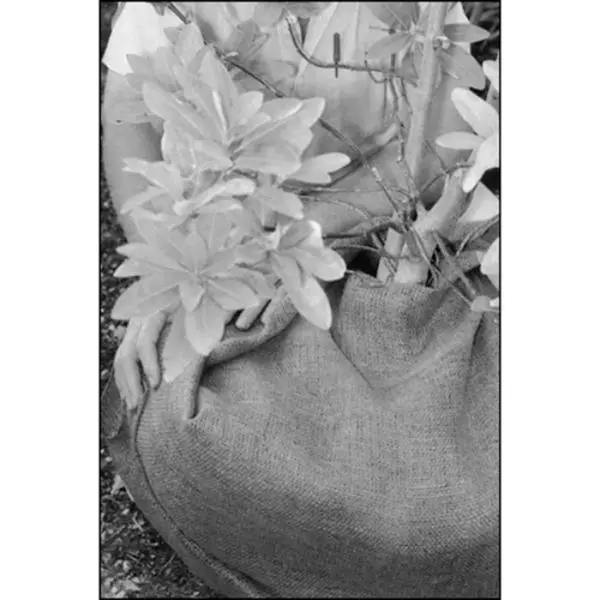 Bulk Biodegradable 4 ft x 250 ft 5.5oz Top-Quality Burlap Fabric, Economically Valuable Supply for Textiles, Sewing & Home Projects, Ideal for Soft Furnishings