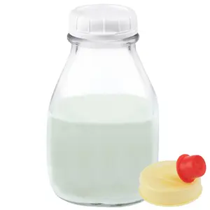 16 oz Glass Milk Bottle with Lid and Pour Spout – Small Glass Creamer Container for Refrigerator – Airtight Pint Milk Bottle for Coffee, Tea, and Liquid Storage