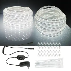 100FT Cool White LED Rope Lights Outdoor Waterproof Dimmable 6000K Daylight Brightness 12V DC Power Supply with Y-Splitter & Rotary Dimmer