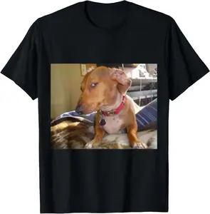 Bombastic Side Eye Funny Dog T-Shirt for Men Women. Pure Cotton Graphic Tees Menswear Top: Gifts for Men & Women,summervibes