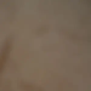 review image 9