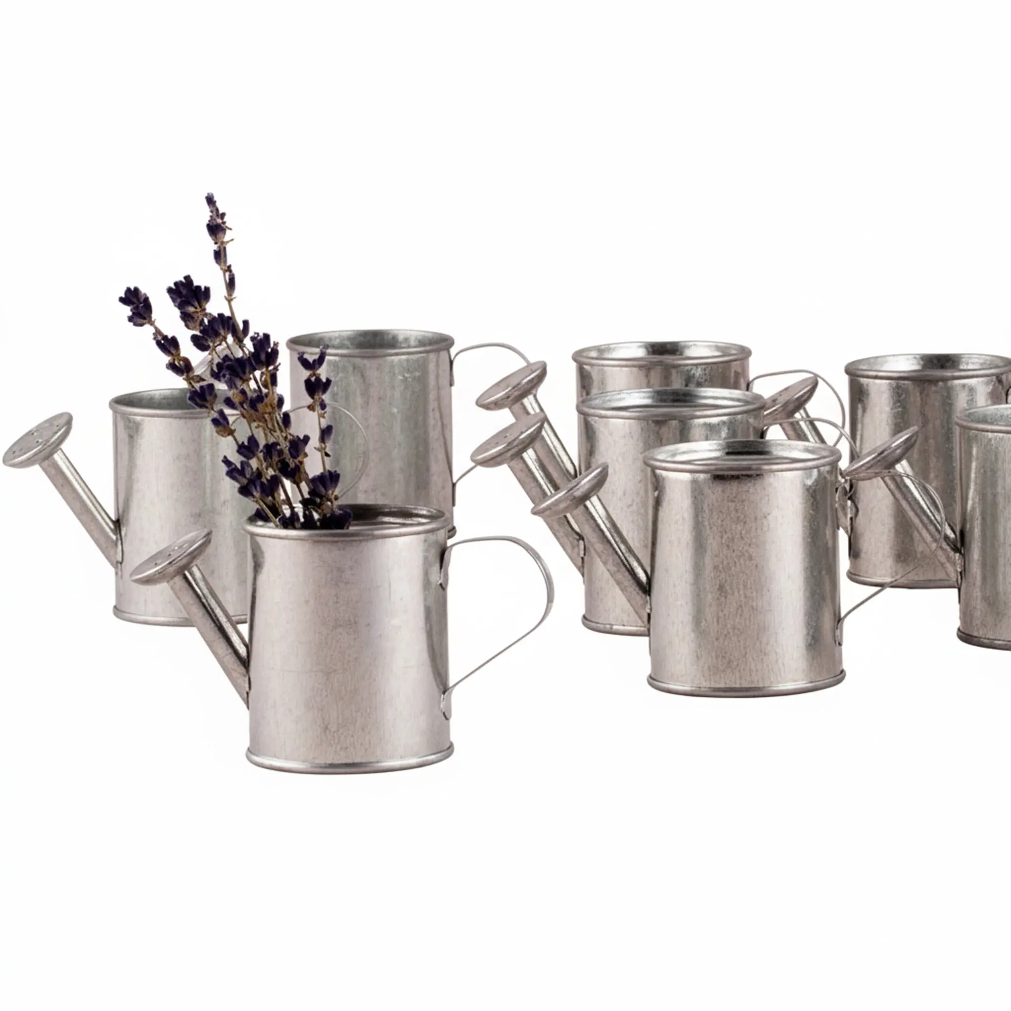 Mini Watering Cans (Set Of 12)