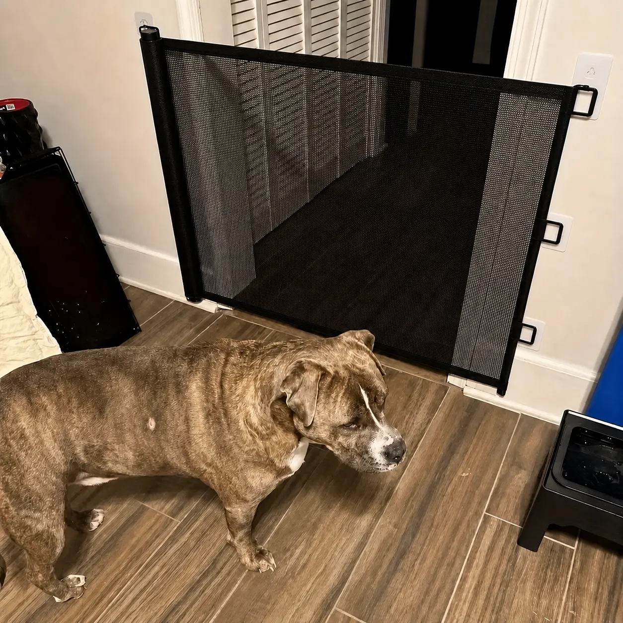 Retractable Pet Gate, No-Drill Mesh Barrier for Dogs & Cats, Easy-Store Anti-Escape Pet Fence for Kitchen, Study, Hallway & Doorways, Home Safety Divider