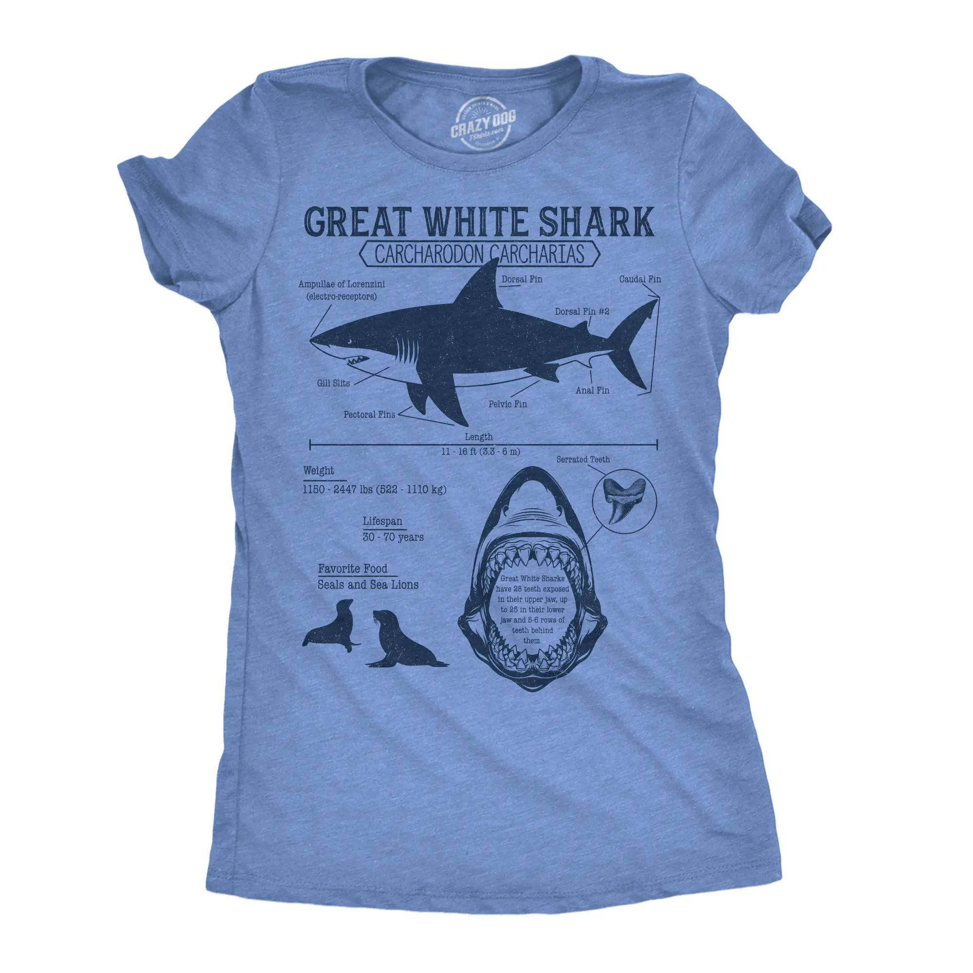 Womens Funny T Shirts Great White Shark Infographic Sarcastic Shark Lovers Tee For Ladies Funny Womens T Shirts Cute Vintage Fashion Casual Ladies T-Shirt Gift Shark Tops for Women Funny Animal Top Women's Light Blue