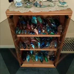 dolphin collectibles