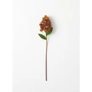 Cone Hydrangea Stem