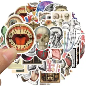 Human Organ Pattern Sticker, Graphic Decal, 50pcs/set Medical Body Organ Anatomy Decals, Waterproof Graffiti Sticker for Journal, Planner, Laptop, Refrigerator, Skateboard, Luggage, Kindle, Stickers for Scrapbooking
