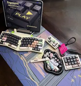 Pleyto Theme Ergonomic Silent Mechanical Full Set