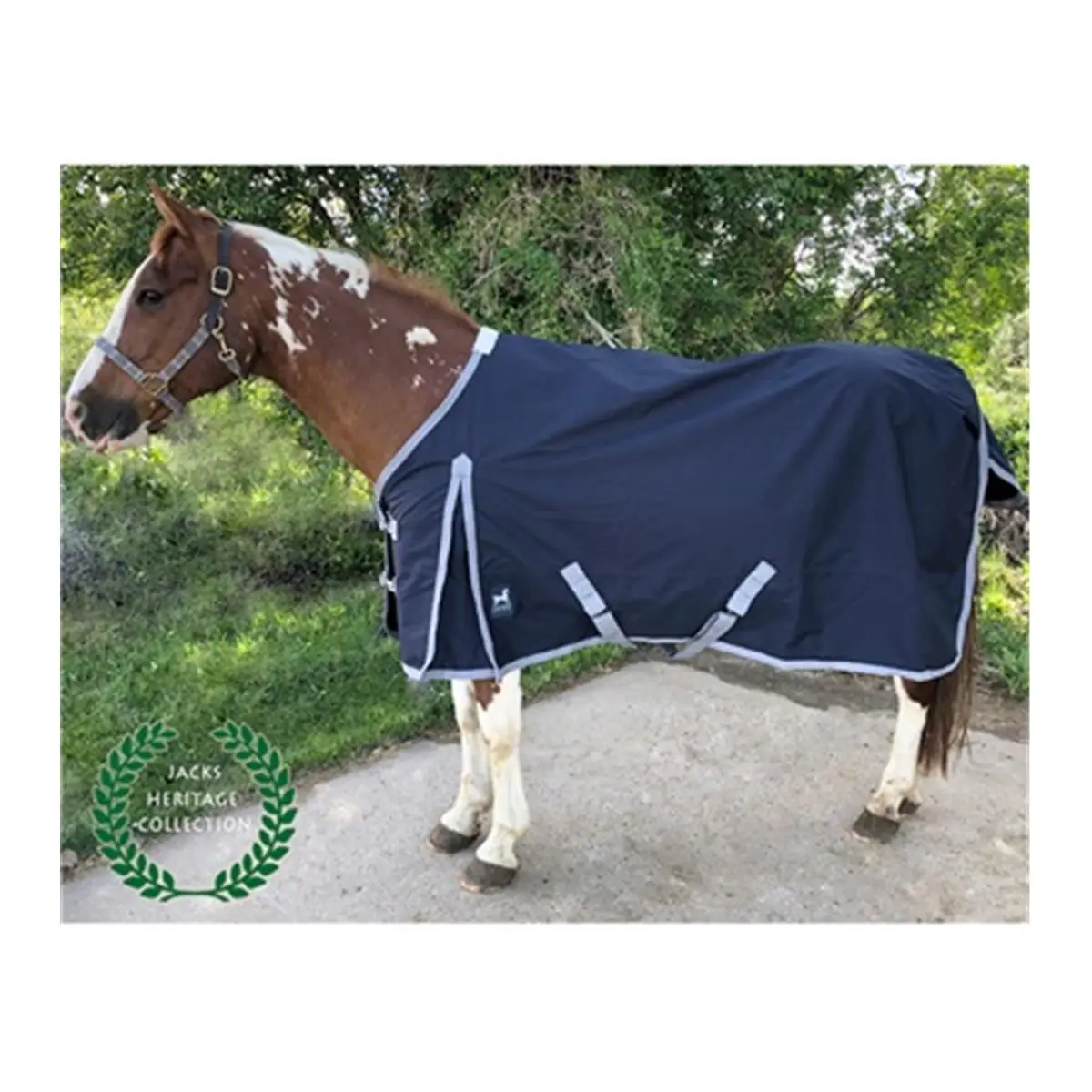 Jacks 4290-NV-82 82 in. Atlas 600 Denier Turnout Sheet, Navy, Adjustable Buckle Open Front, Breathable, Comfortable Fit, Contoured Rump with Tail Flap, Cool Down the Back