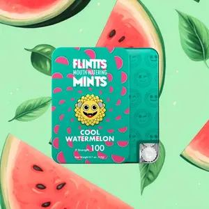 NEW 2025 (PICK YOUR FLAVOR) Flintts Mouth Watering Mints - Watermelon